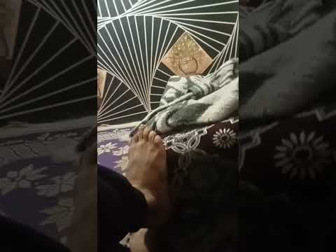 طول ما أنا حى حقى جى سكنتى بلاستيك