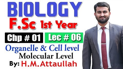 Atomic and subatomic level , Molecular level | Chapter 1 | 1st year Biology | Lec. # 6