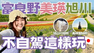 北海道不自駕也超好玩富良野必吃美食、四季彩之丘、美瑛聖誕樹、富良野觀光列車、旭山動物園日本有個U1 YuiTube x