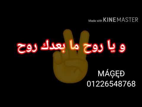 حالات واتس مهرجان دنيا مفيش اخلاق اوعي يفوتك