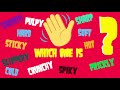 Sense of Touch Quiz