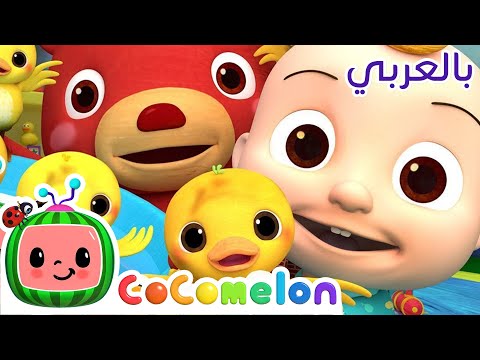  أغاني كوكو ميلون بالعربي اغاني اطفال ورسوم متحركة أغنية أين تختبئ البطات