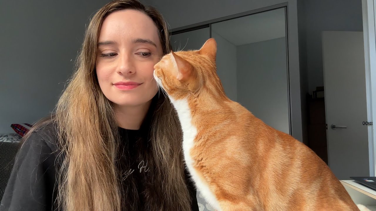 Can I Have A Headbutt YouTube