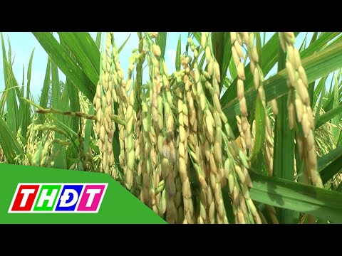 Ứng dụng công