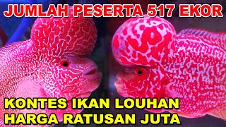 KONTES IKAN LOUHAN HARGA RATUSAN JUTA  PESERTA 517 EKOR !!!