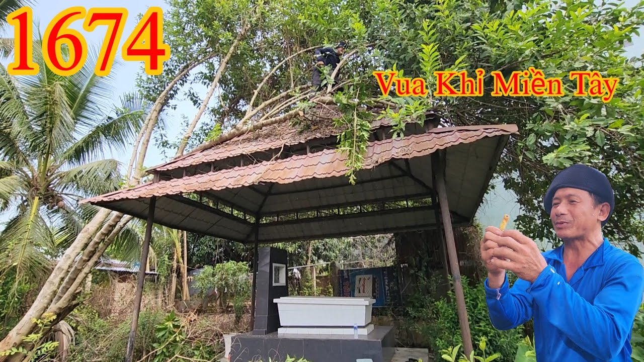 Nhiều bất ngờ khi Vua Khỉ Miền Tây cưa cây ở miếng đất bỏ hoang !! Cutting trees