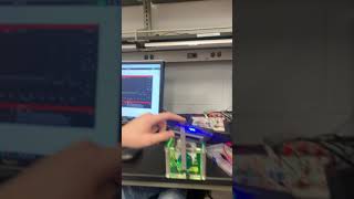 Digital Control of Inverted Pendulum