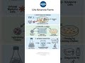Hybridoma Technology Explained in 2 Minute #biotechnology #neet #biologyshorts #zoology #shorts