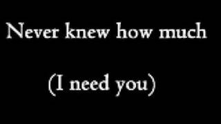 Allman Brothers Band - Never knew how much (i need you) + Lyrics chords