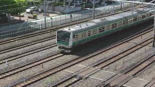 【フリー動画】埼京線E233系ハエ124編成のTK入場列車（回送幕）の走行シーン