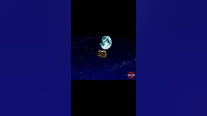 Cute capybara flying to the moon meme