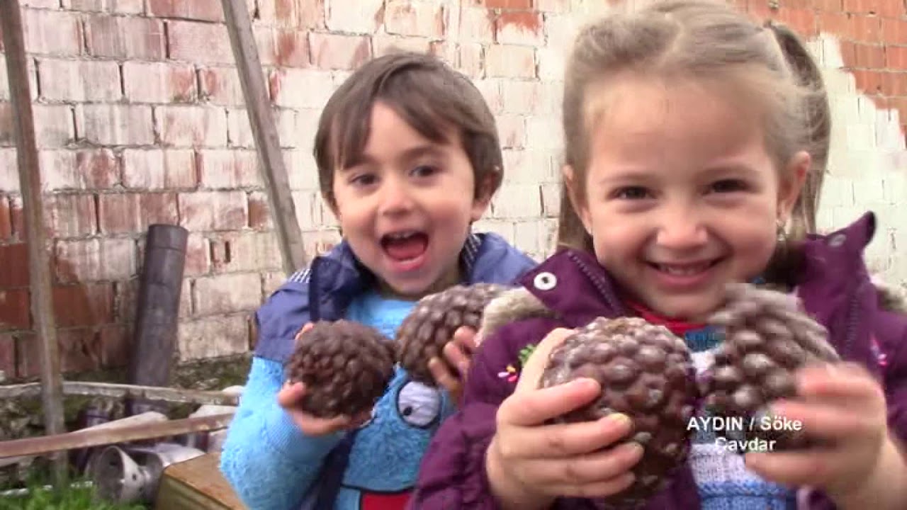 15.Bölüm Aydın/Söke-Çavdar