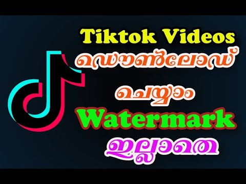 Tiktok videos download without watermark||@Tipzworld - YouTube