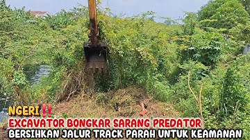 NGERI‼️EXCAVATOR BONGKAR SARANG PREDATOR BERSIHKAN JALUR TRACK PARAH UNTUK KEAMANAN MAKSIMAL