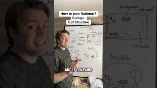 How pass National 5 Biology: Cell Structure