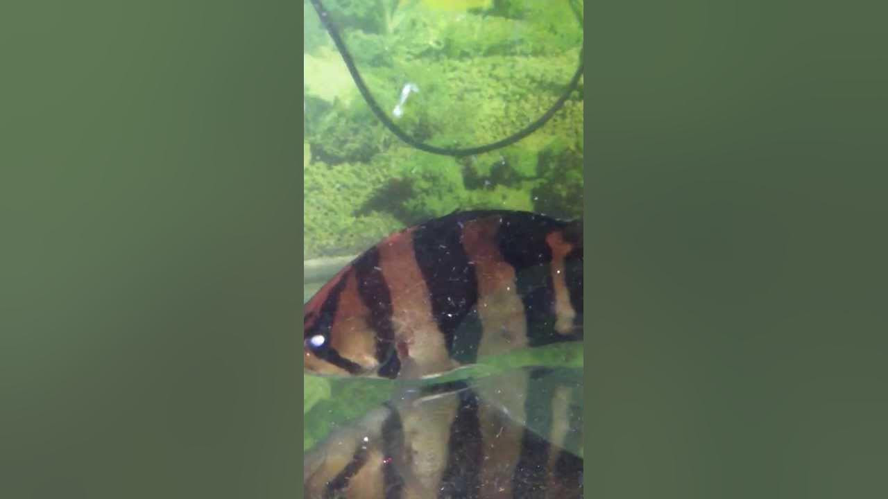 Bbnnnn. Nnnnnnnbbbbbbbbb bbbb. Bbbb bbbb b bbbb vvvvv vvvvv b bb. Bbb