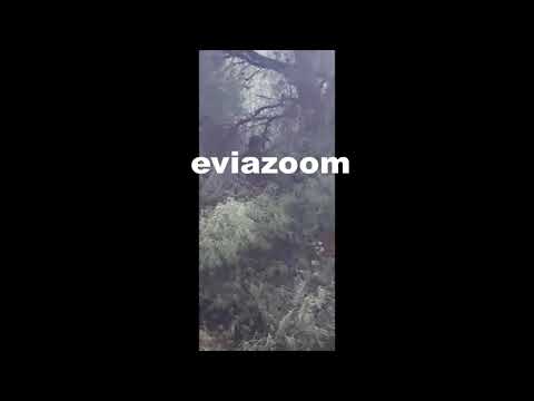 Οντάθι Δροσιάς: Αποκλειστικά στο EviaZoom.gr ο κυνηγός που εντόπισε τον κρεμασμένο άνδρα