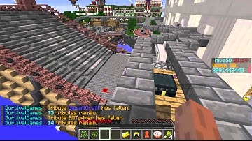 Report Hive hack fly