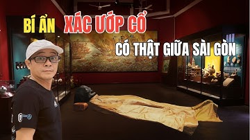 Khám Phá Xác Ướp Xóm Cải – Bí Ẩn Trong Bảo Tàng Lịch Sử TP.HCM