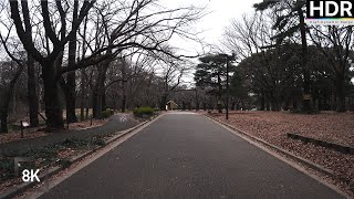 【8K HDR】I wandered around Yoyogi Park in Tokyo ASMR IMMERSED by City Odyssey 14 views 11 months ago 22 minutes