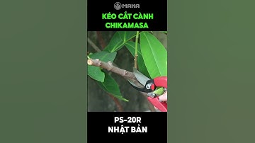 Những mẫu Kéo cắt cành cao cấp của Nhật thương hiệu Chikamasa