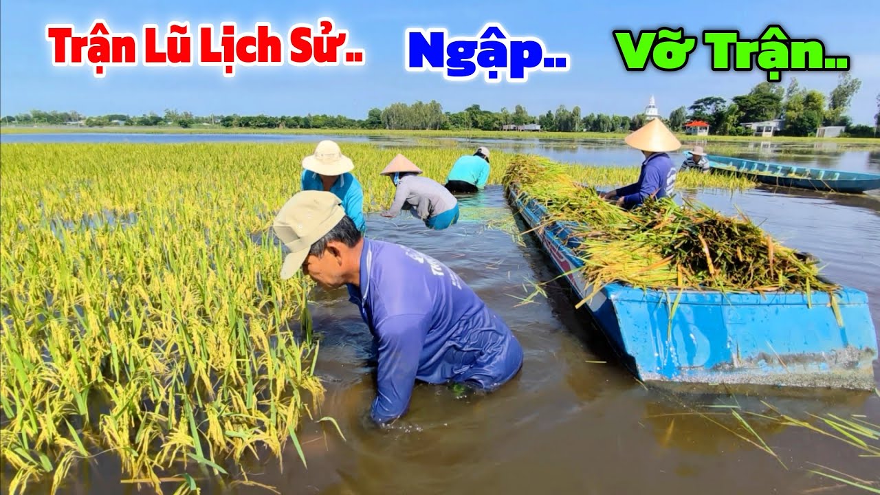 Lũ lên Vỡ Trận