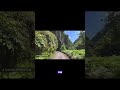 Initial M Vocalization Setup