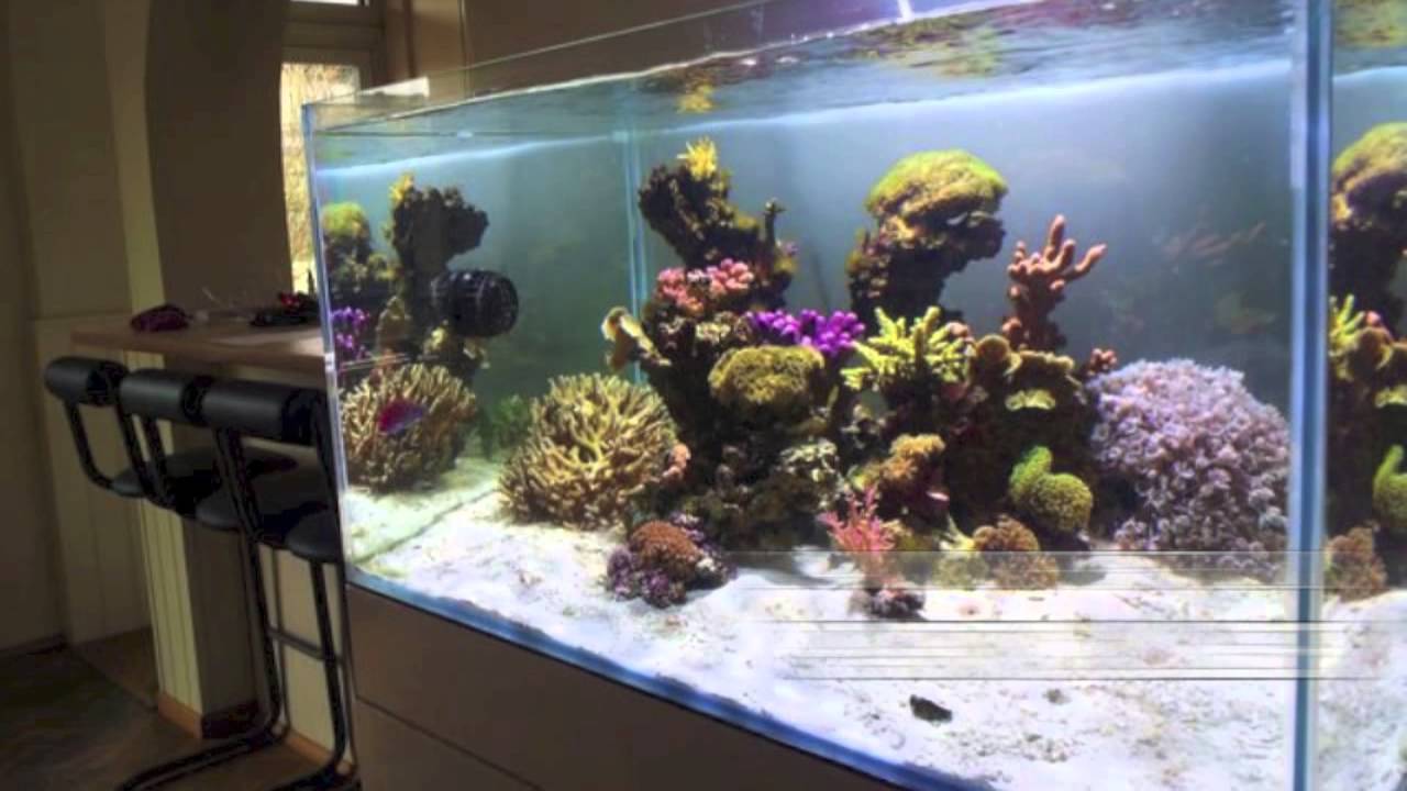 Curated visual reference: Diamond Aquariums Reference: Diamond Aquariums Portfolio