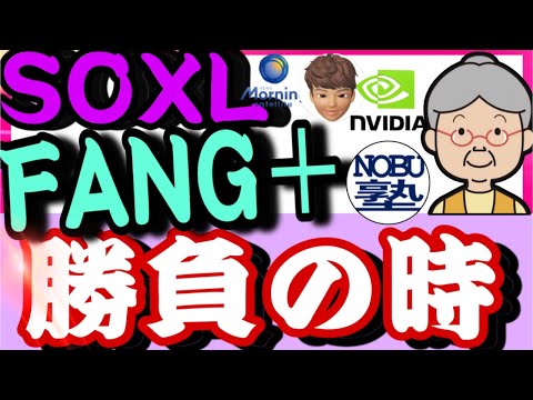 【米国株投資】2/21 SOXL.FANG＋は、エヌビディア決算前の下落で拾っていく‼️ 大型テク株に売り､エヌビディア決算控え－ドル150円近辺【ばっちゃまの米国株】【NOBU塾】