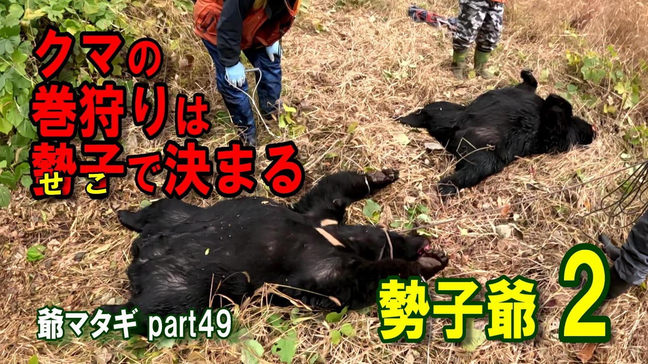 クマの巻き狩りは勢子で決まる 勢子爺②