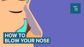 Instant Relief Point to Unblock a Blocked Stuffy Nose - Dr Mandell - YouTube