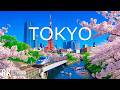 Tokyo Spring 8K UHD 🌸 Cherry Blossoms in Full Bloom | Cinematic Japan Scenery