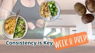 Consistency is Key with Starch Solution, Week 11 Prep! screenshot 3