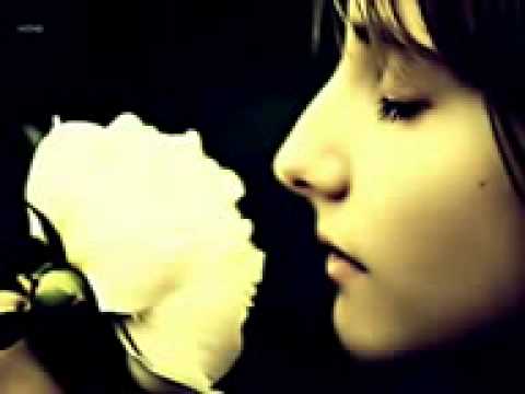 اغنية ادريبك تخون بيا مسرعة