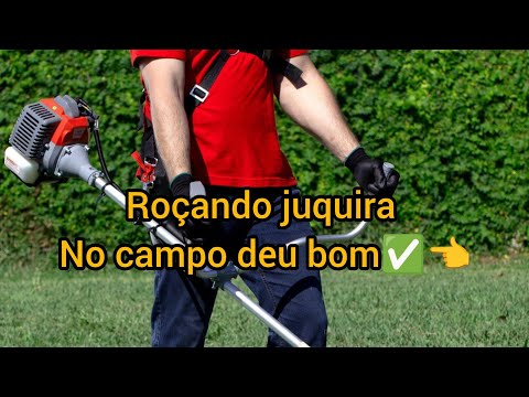 ROÇANDO CAMPO JUQUIRA COM ROÇADEIRA STHIL 160 