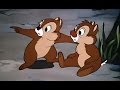 Cartoon tube | Chip and Dale & Donald Duck Cartoon Over 2 Hour Non Stop 2014 | Video tube