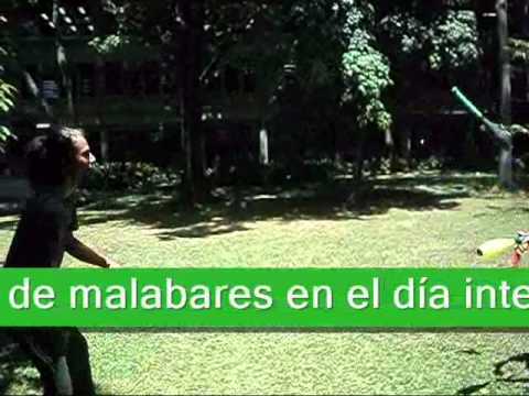 un mundo de juegos _ DÍA INTERNACIONAL DEL JUEGO camera iphone 8 plus apk