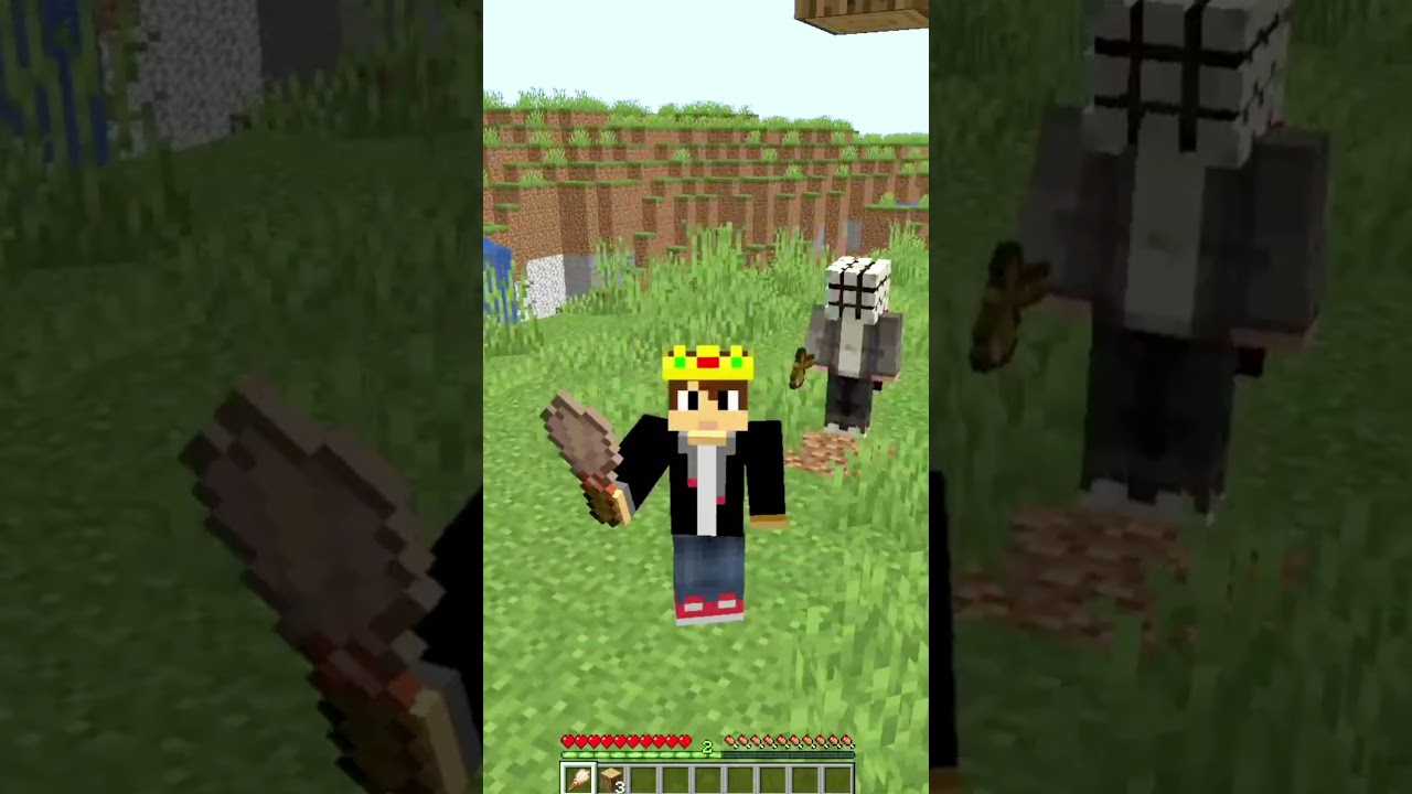 MineCraft But You Can Control Pimple Man !