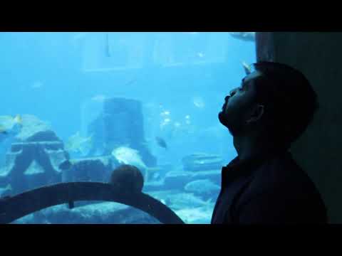 lost chambers aquarium dubai atlantis aquaventure #lost #chambers #aquarium #atlantis #aquaventure