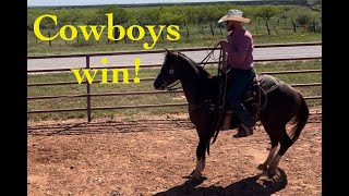 Ep. 4  Heifers, Branding, Goofing with the Family