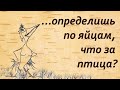 Смешные анекдоты про Вовочку  с птичьими яйцами, о варенье с....типа засахарилось Funny jokes