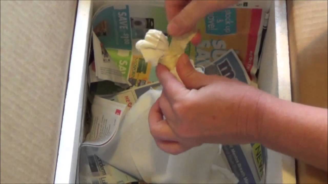 egg incubation chart Steamwerks' FLog: Unboxing 2.0 Ball Pythons (Contest Closed - Video updated w/ Winner)