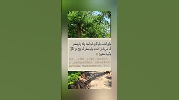 Al-Isra'（111）سورة الإسراء - #古兰经