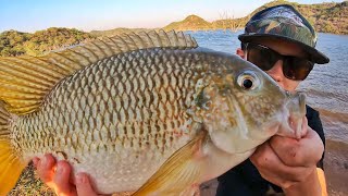 Awesome Afternoon of Tilapia (Bream/Kurper) Fishing