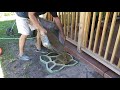 DIY Cement Stepping Stones / Cement Work Complete?