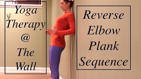 Reverse Elbow Plank: Posterior Chain Strength: "YOGA THERAPY @ THE WALL" - LauraGyoga