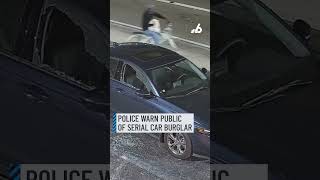 Police searching for bicycle-riding serial car burglar in Fort Lauderdale