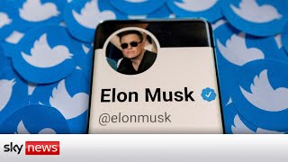 Elon Musk's £37bn Twitter takeover 'on hold'