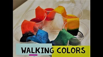 Travelling Water~~ Amazing Colour Mixing~~ Incredible colors ~~ Capillary  Action