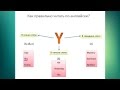 Как правильно читать по-английски? Урок3 (Чтение буквы Y)